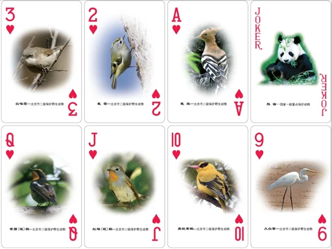 君临国际棋牌 - 梭哈